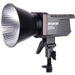 Luz LED bicolor Amaran 200x Aputure