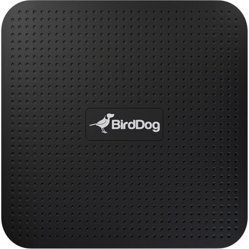 BirdDog PLAY 4K NDI Player Birddog